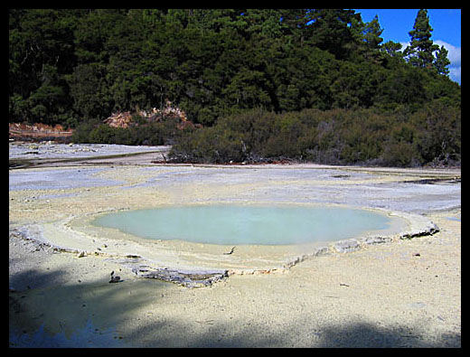 Oyster Pool
